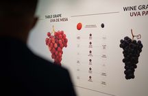 The Wine Experience Pack with Cellar Tour and Tasting at Taylor's