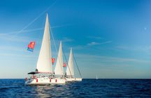 E-bike tour, wine tasting and sailing experience from Barcelona
