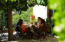E-bike tour, wine tasting and sailing experience from Barcelona