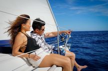 Helicopter Flight and Sailing Experience in Barcelona