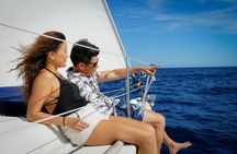 Spanish Tapas and Premium Open Bar with Sailing Experience