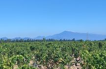 Provence Wine Tour and Luberon Villages from Aix en Provence
