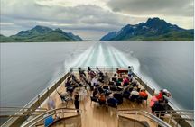 Silent Trollfjord cruise