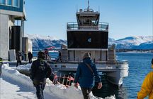 Tromsø fjord and wildlife cruise