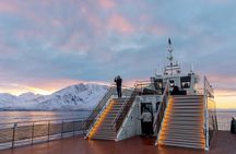 Silent whale watching tour by boat