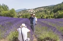 Lavender fields afternoon tour from Aix en Provence