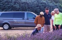Lavender fields afternoon tour from Aix en Provence