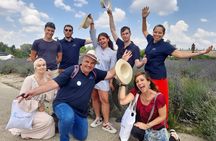 Lavender fields morning tour from Aix en Provence