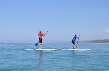 Stand Up paddle wildlife tour and beach 4x4 Noosa day trip