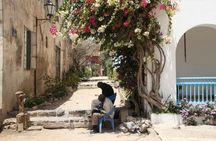 Gorée Island Full-Day Tour from Somone