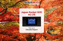 Mobile WiFi Rental - Fukuoka Airport