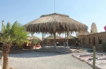Ultimate Desert Experience with Dinner and Show in Hurghada