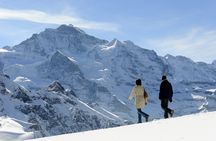 Grindelwald and Interlaken day trip from Zurich