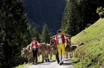 Mountain excursion with cheese and chocolate