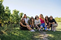 Afternoon wine tour to Saint-Emilion