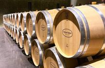 Afternoon wine tour to Saint-Emilion