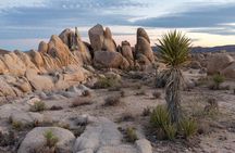 Joshua Tree And Palm Springs Self-Guided Driving Audio Tour