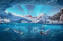 Abu Dhabi Mosque and Sea World Tour from Dubai