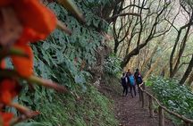 Full Day tour with hike on Moinhos do Félix Waterfalls Trail