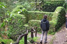 Full Day tour with hike on Moinhos do Félix Waterfalls Trail