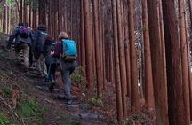 Full Day tour with hike on Moinhos do Félix Waterfalls Trail