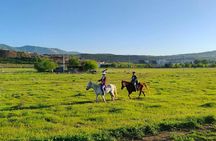 Horse riding tour in Tbilisi