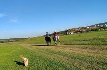Horse riding tour in Tbilisi