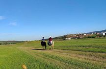 Horse riding tour in Tbilisi
