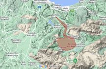 Truffle Hunting and Culinary Celebration Tour from Heraklion
