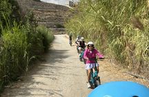 Naxos Aegean Lush E-Bike with Optional Private, or Shared tour