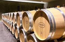 Wine and bike tour to Saint-Emilion