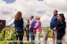 Médoc and Saint-Emilion wine tour