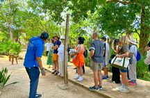 Chichen Itza and Valladolid tour with Cenote swim