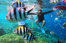 Bali full-day Blue Lagoon snorkeling trip