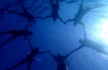 Discover Magawish Island with snorkeling cruise and lunch in Hurghada