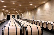 Gourmet and vineyards tour for small groups in Bordeaux