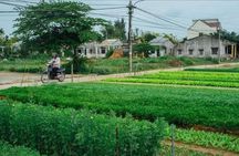 Half-Day Bike Tour to Tra Que Vegetable Village from Hoi An