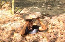 Cu Chi Tunnels Half-Day Tour with Pick Up