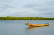 Bush and Saloum Delta guided tour from Somone with boat trip and lunch