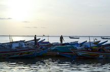 Bush and Saloum Delta guided tour from Somone with boat trip and lunch