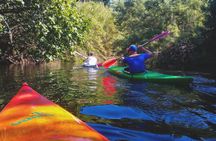 Temo River Kayak Rental in Bosa, Western Sardinia