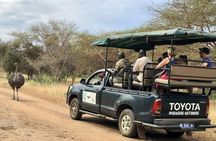 Bandia Reserve half-day safari tour from Somone