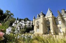 Full-day wine discovery tour in Saint-Emilion