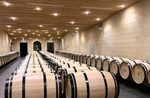Full-day wine discovery tour in Saint-Emilion