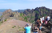 Santana Biosphere Reserve and Arieiro Peak Full Day Open Roof 4x4 Tour