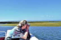 Ria Formosa Nature and Birdwatching Boat Tour