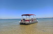 Ria Formosa Nature and Birdwatching Boat Tour