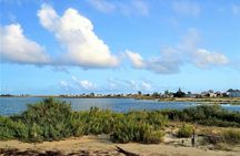 Ria Formosa Nature and Birdwatching Boat Tour