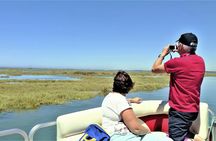 Ria Formosa Nature and Birdwatching Boat Tour