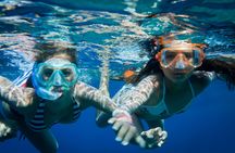 Albatros Beach Club Isla Mujeres Ticket